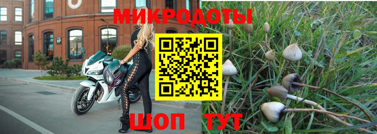 Псилоцибиновые грибы мухоморы Междуреченск