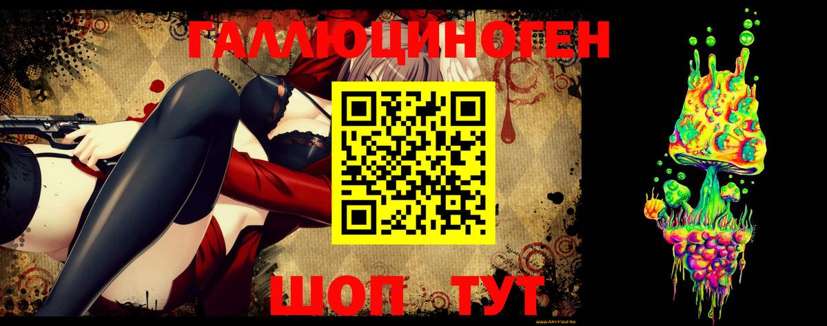 Галлюциногенные грибы Psilocybine cubensis  Междуреченск  Псилоцибиновые грибы Cubensis 